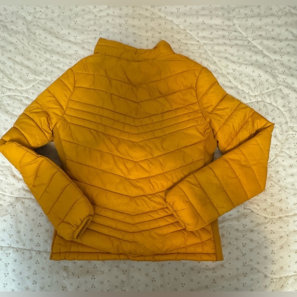 Snobbish collection jacket - Picture 4 of 7